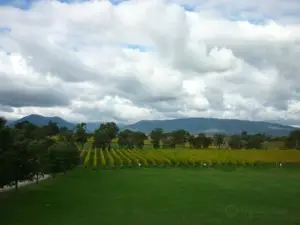 Rochford Wines Yarra Valley