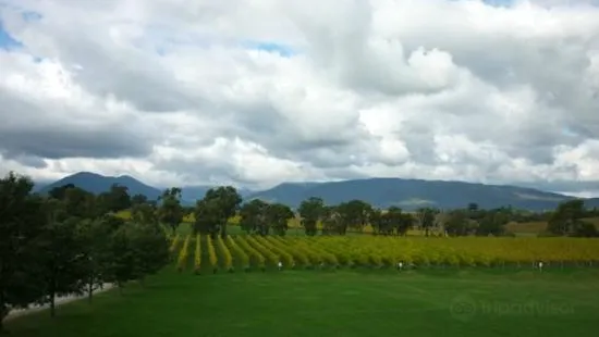 Rochford Wines Yarra Valley