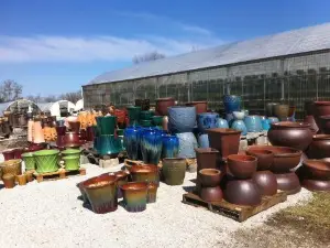Vintage Hill Farm