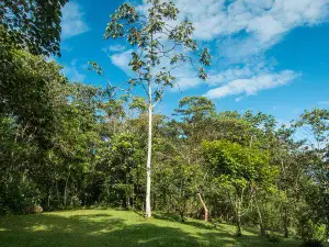 Finca Cantaros