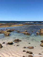 Bogey Hole Mollymook