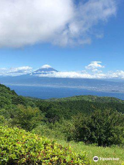 達磨山