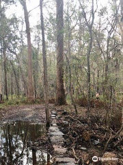 parc national Venman Bushland