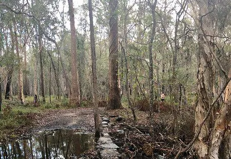 Venman Bushland National Park