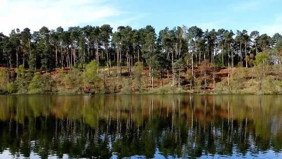 Millbuies Trout Fishery, Moray Fly Fishers