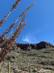 Pima Canyon Trail