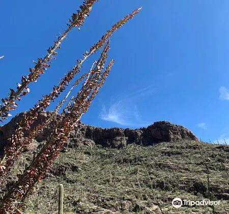 Pima Canyon Trail