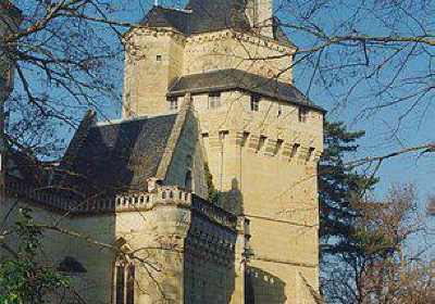 Castle de Ternay