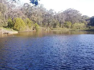 Edward Hunter Heritage Bush Reserve