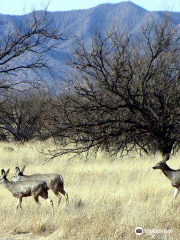 Buenos Aires National Wildlife Refuge