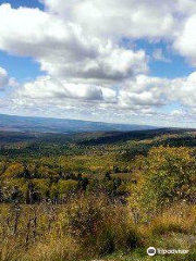 Rio Grande National Forest Supervisor's Office