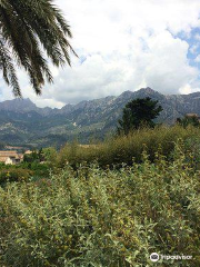 Jardi Botanic de Soller