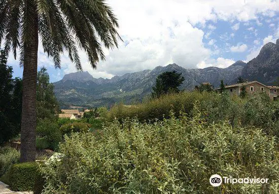 Jardi Botanic de Soller