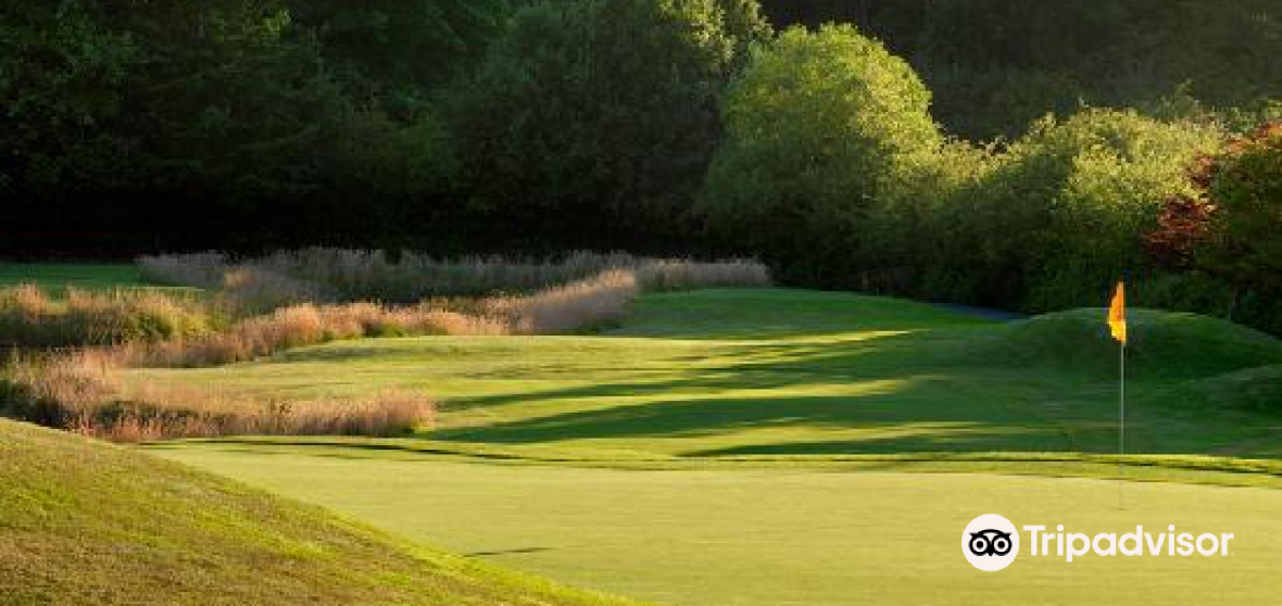 Cordova Bay Travel Guide 2023 Things to Do, What To Eat & Tips