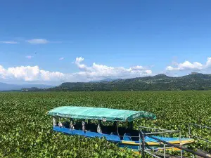 Lake Suchitlan