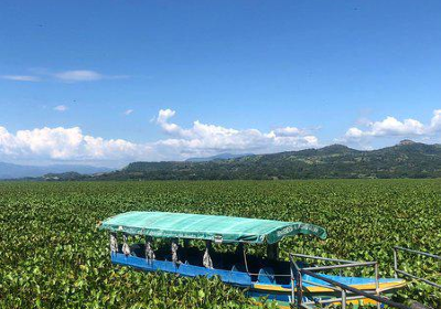 Lake Suchitlan