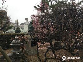 水果批发