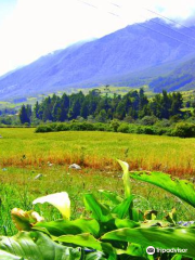 Paramo la Culata