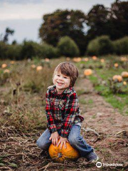 Crane Orchards U-Pick and Corn Maze