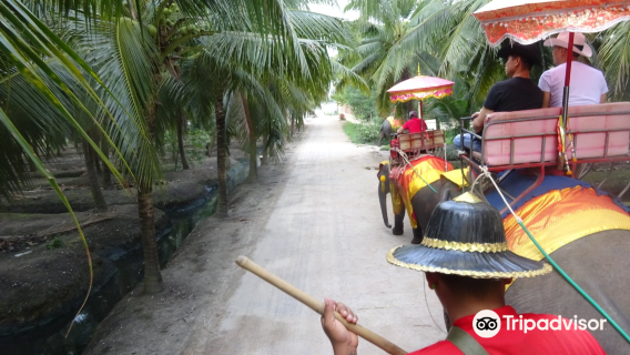 Chang Puak Camp Damnoen Saduak