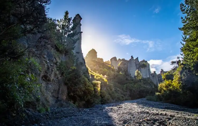 Cape Palliser