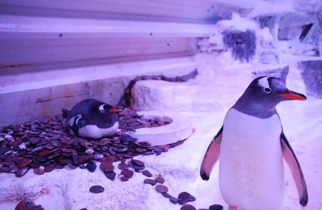 Hotels in der Nähe von Sea Life Abenteuer Park