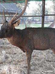 Jawaharlal Nehru Biological Park