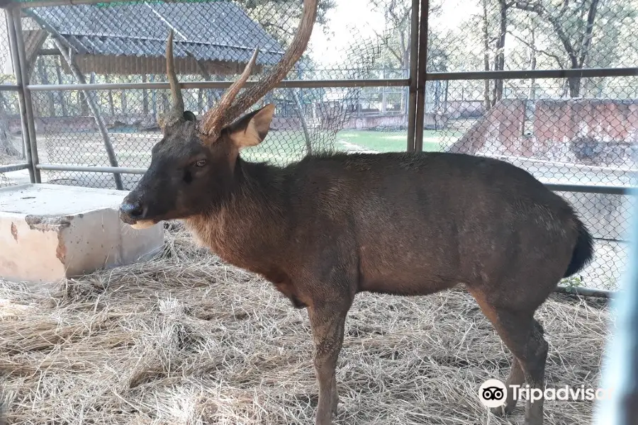 Jawaharlal Nehru Biological Park