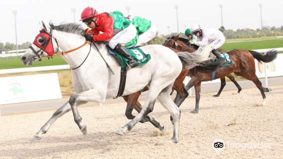 Al Ain Equestrian and Shooting Club