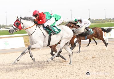Al Ain Equestrian and Shooting Club