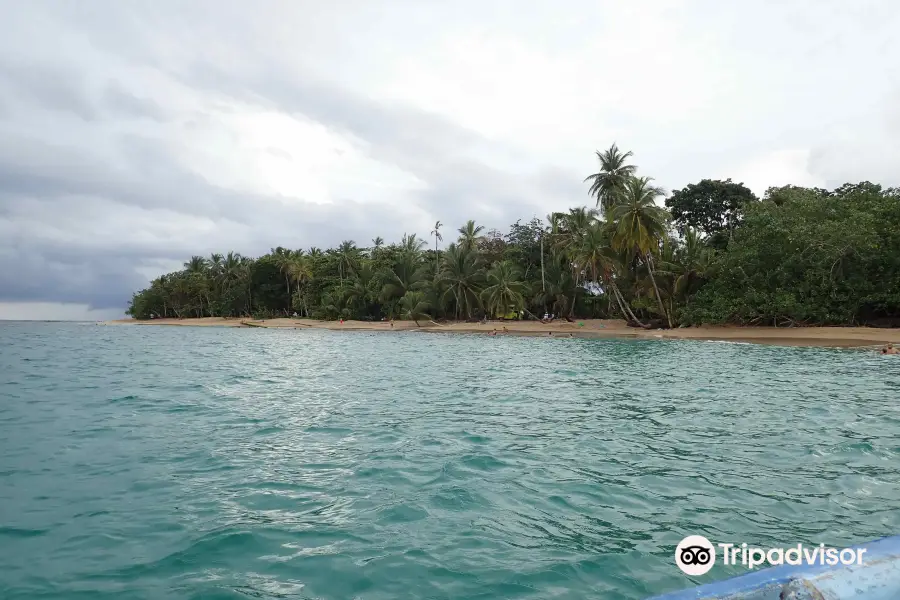 Punta Uva Dive Center