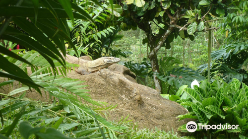 Parque Reptilandia