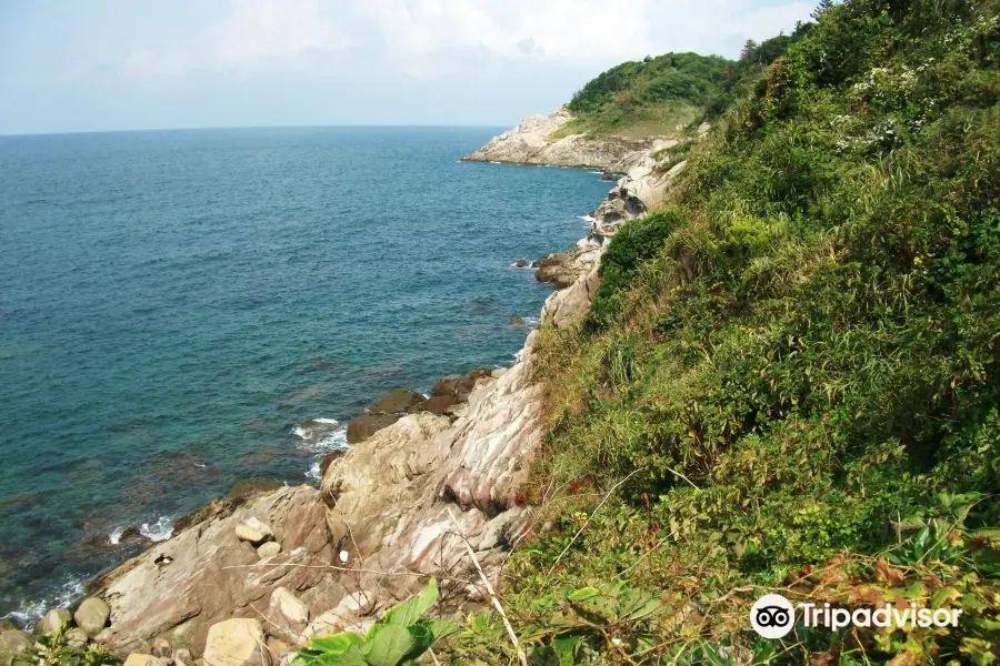 夏泊海岸