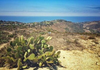 Aliso & Wood Canyons Wilderness Park