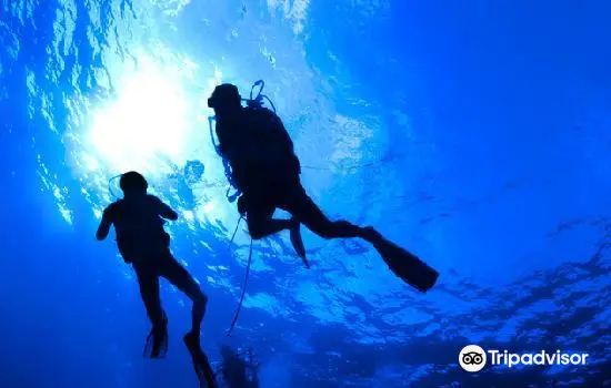 Scuba Diving in Phi Phi Islands
