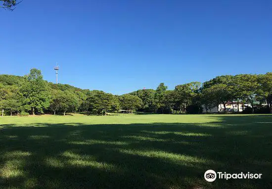 Shiroyama Ryokuchi Park (Remains of Kurosaki Castle)