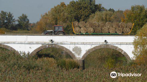 Nine-Hole Bridge