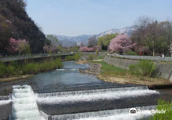 Hassamu River Green