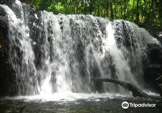 Tranh Stream