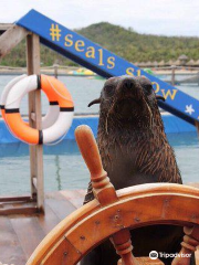 Seals Show