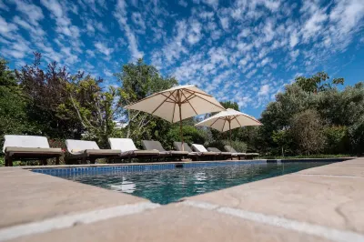 Plumwood Boutique Hotel by the Living Journey Collection Hotels near Isabella Charlotte Boutique Franschhoek