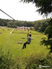 Go Ape Southampton （Treetop Challenge, Treetop Adventure, Axe Throwing, Zip Lines, High Ropes）