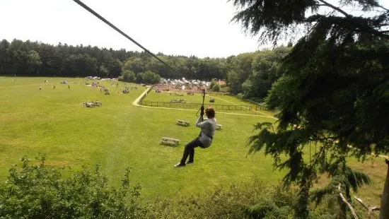 Go Ape Southampton （Treetop Challenge, Treetop Adventure, Axe Throwing, Zip Lines, High Ropes）