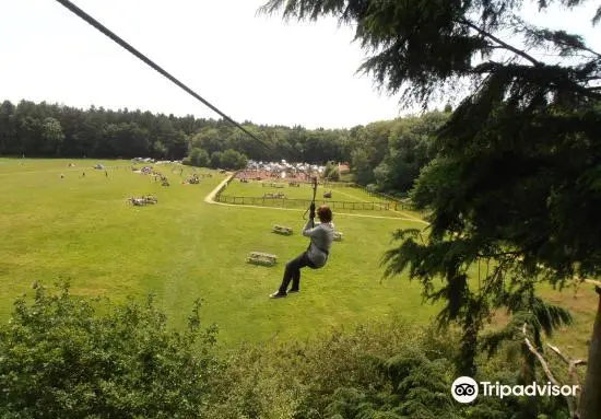 Go Ape Southampton （Treetop Challenge, Treetop Adventure, Axe Throwing, Zip Lines, High Ropes）