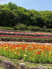 Yamaguchi Flower Land