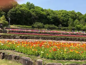 Yamaguchi Flower Land