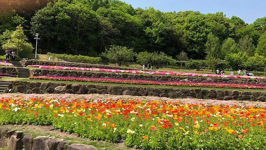 Yamaguchi Flower Land