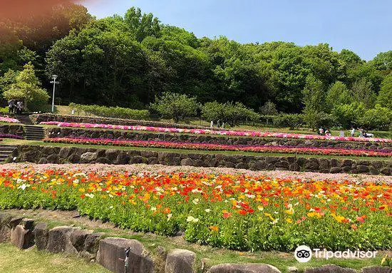 やまぐちフラワーランド