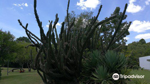 Embarcadero de Yates Riachuelo Park