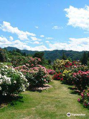 Takatō Shinwanooka Rose Garden